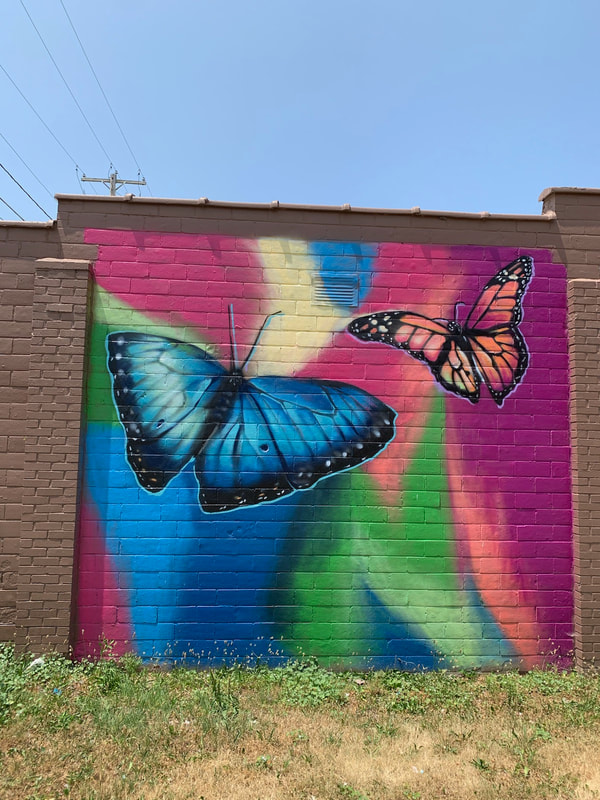 Tie Dye butterflies mural